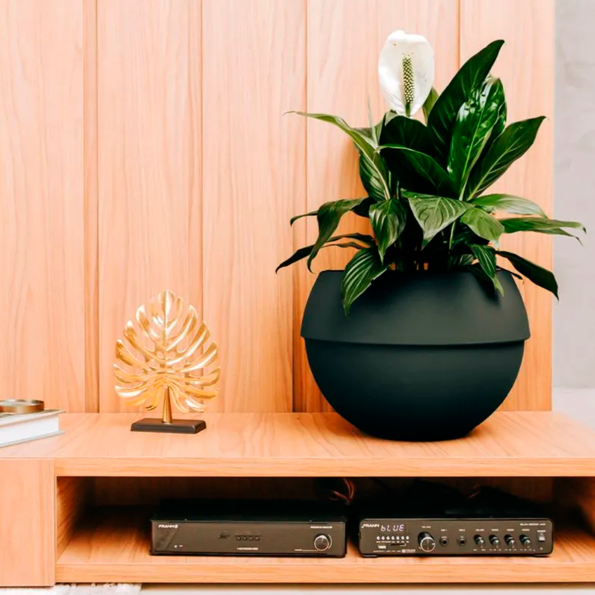 VASAP - VASO COSMOS ABSOLUTO PRETO - 9030