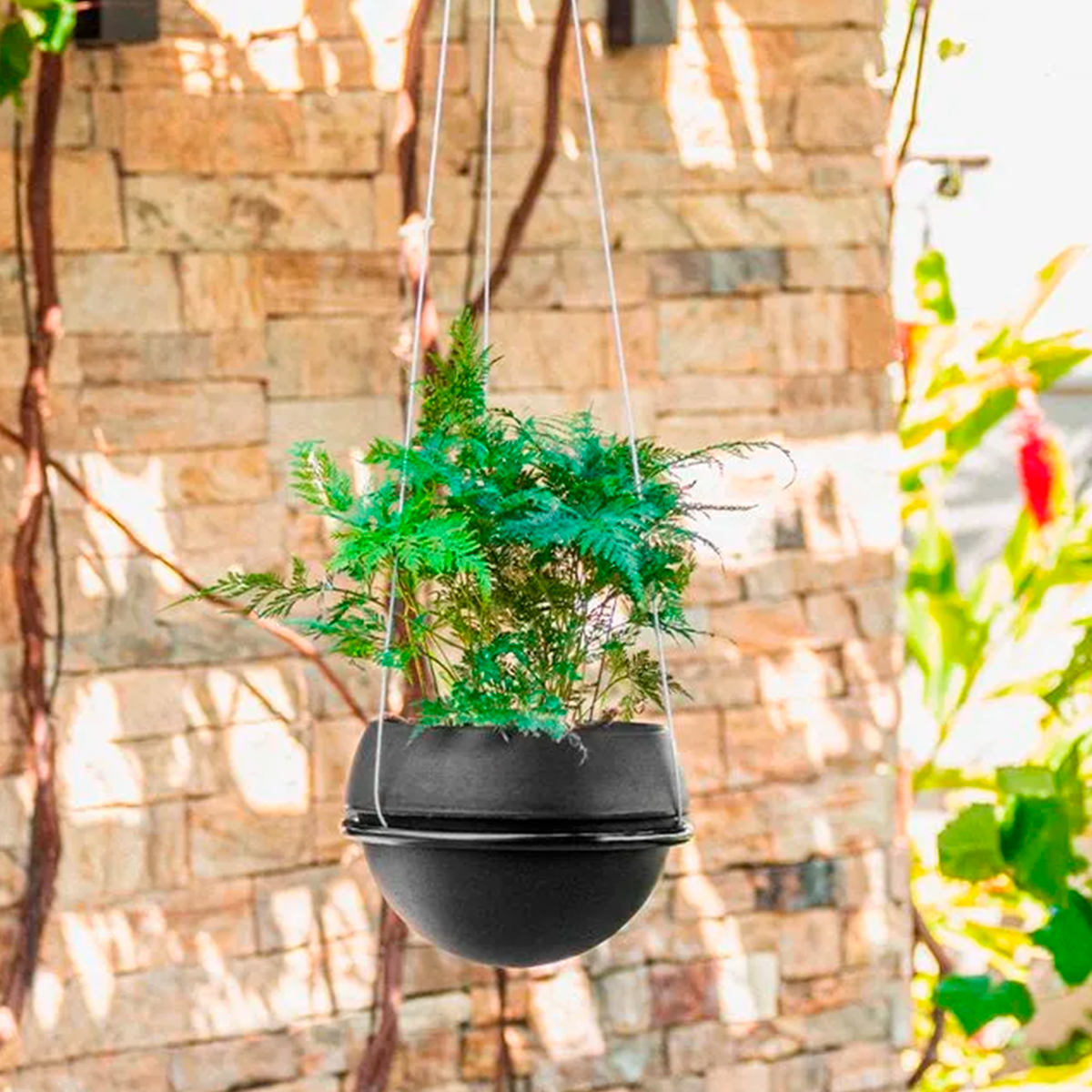 VASAP - VASO COSMOS ABSOLUTO SESPENSO PRETO - 9005