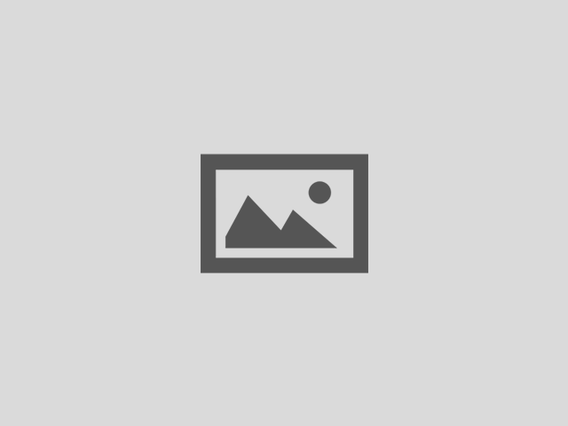 MODELAR EUCALIPTO - PORTÃO DE EUCALIPTO TRATADO